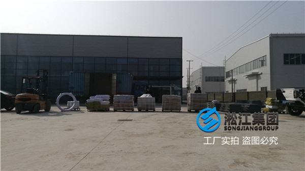 尿素車間泵出口用DN50/DN80橡膠膨脹節(jié) 尿素車間泵出口用DN50/DN80橡膠膨脹節(jié)